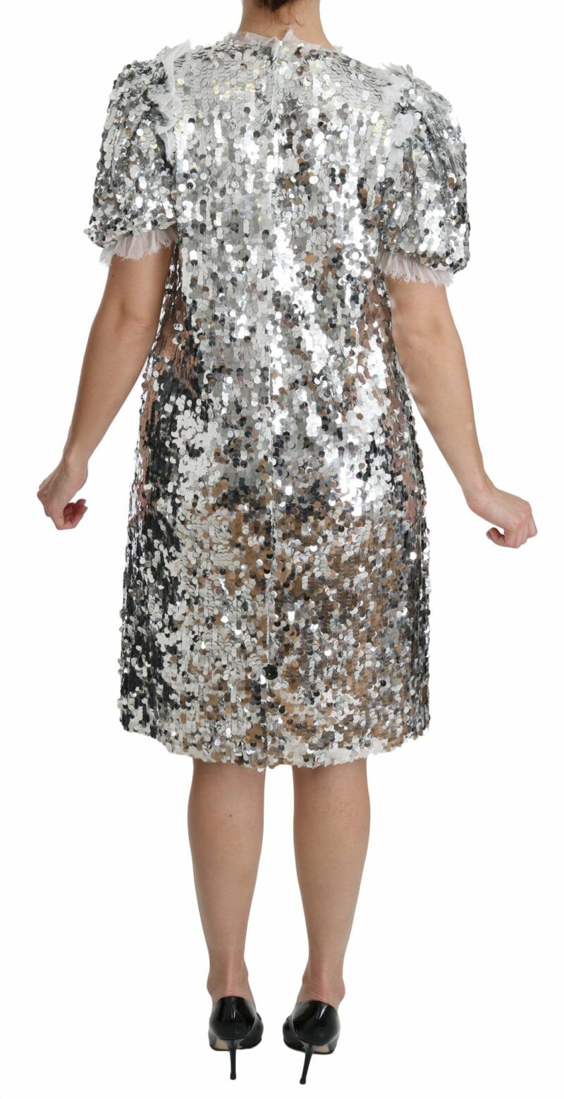 Dolce & Gabbana Elegant Silver A-Line Dress with Crystal Accents - Image 4