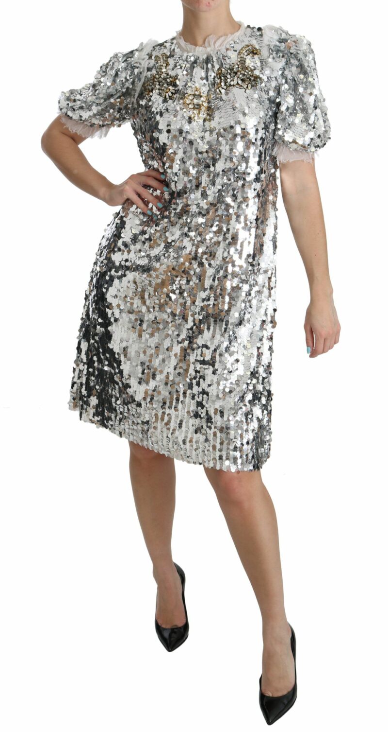 Dolce & Gabbana Elegant Silver A-Line Dress with Crystal Accents - Image 5