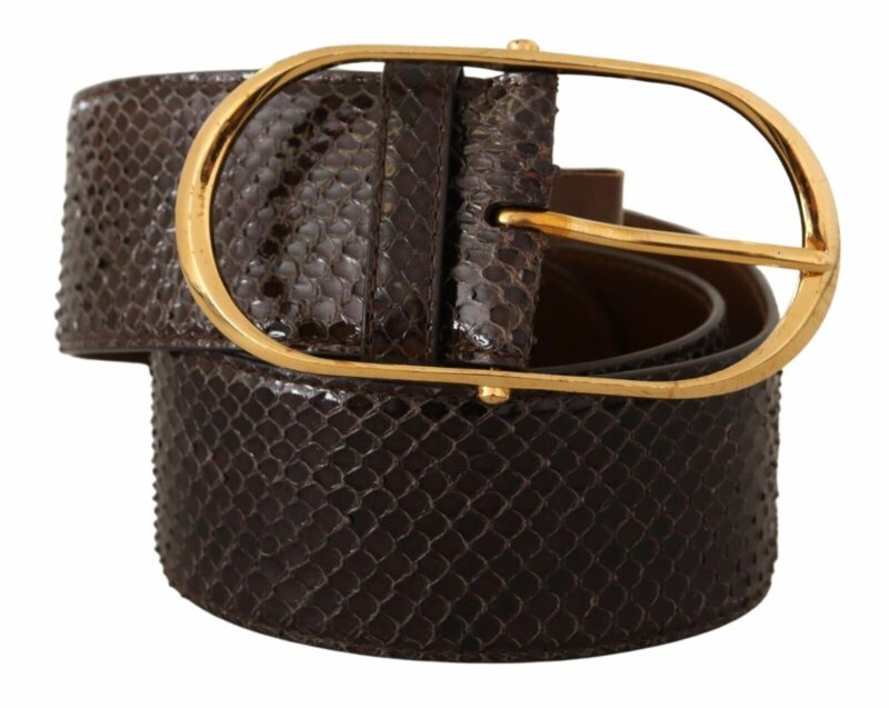 Dolce & Gabbana Elegant Python Leather Belt with Gold Buckle - Image 2