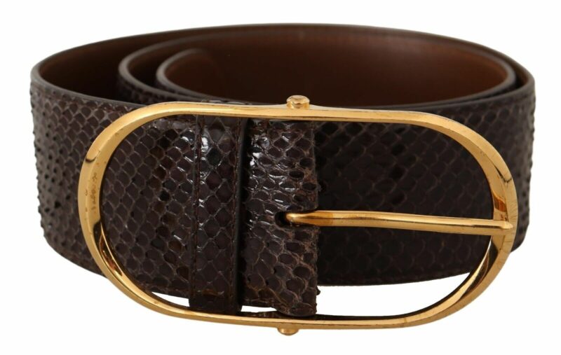 Dolce & Gabbana Elegant Python Leather Belt with Gold Buckle - Image 3