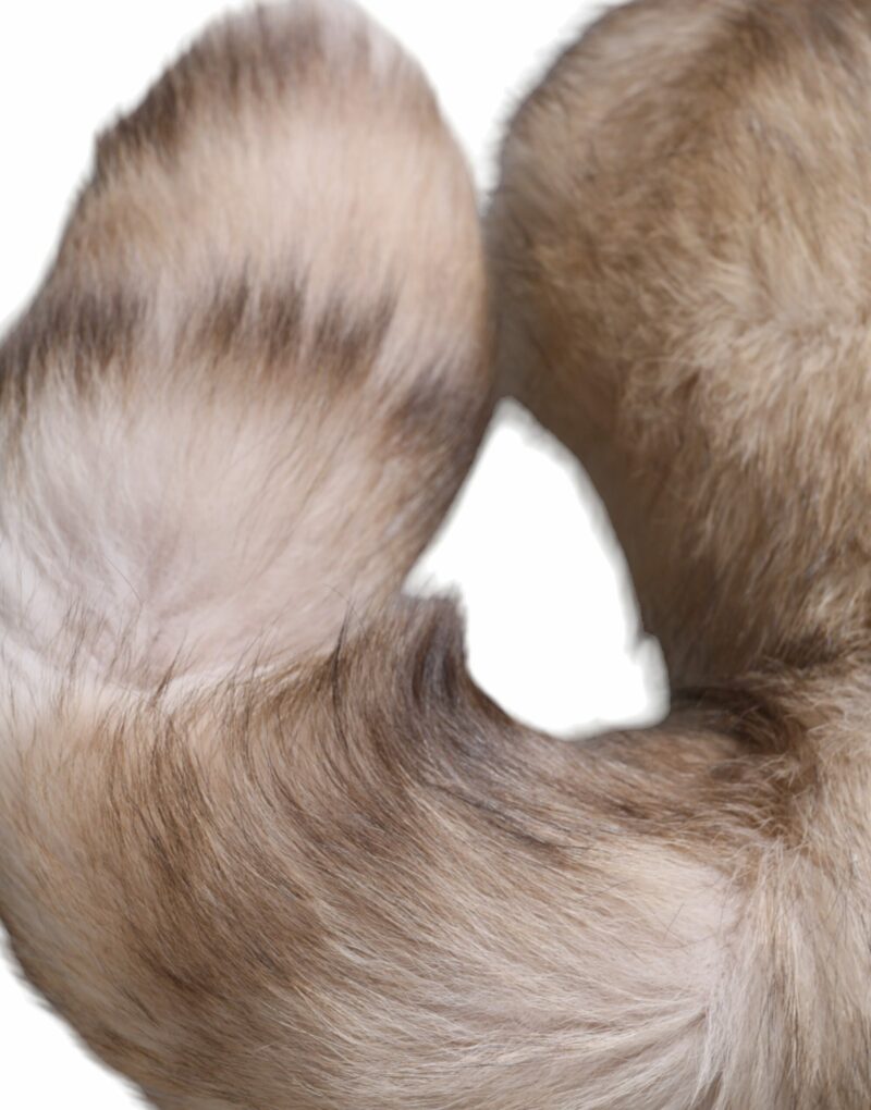 Dolce & Gabbana Brown Frost Fox Fur Neck Warmer Winter Scarf - Image 3