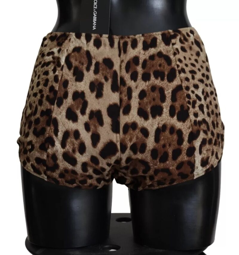 Dolce & Gabbana Brown Leopard Print Swimsuit Swimwear Bikini Bottom - Image 4