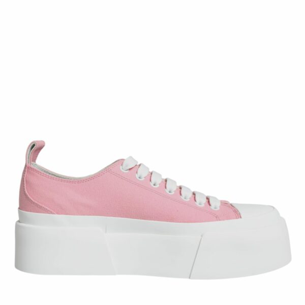 Dolce & Gabbana Pink White Canvas Logo Low Top Sneakers Shoes