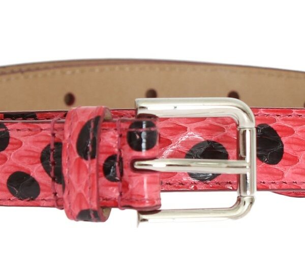 Dolce & Gabbana Polka Dot Snakeskin Belt with Silver Buckle