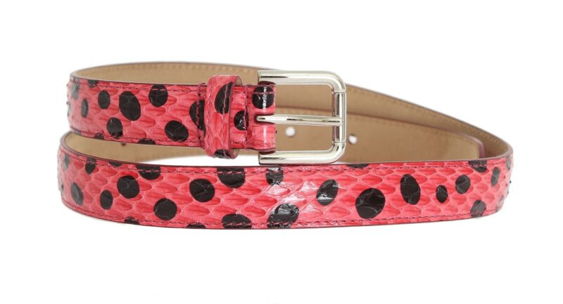 Dolce & Gabbana Polka Dot Snakeskin Belt with Silver Buckle - Image 2