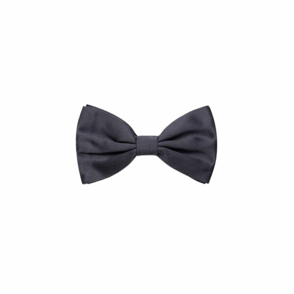 Dolce & Gabbana Gray Silk Ties & Bowty