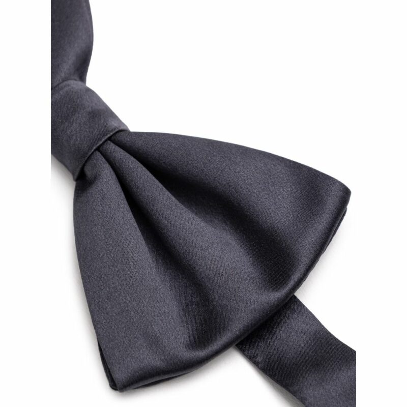 Dolce & Gabbana Gray Silk Ties & Bowty - Image 2