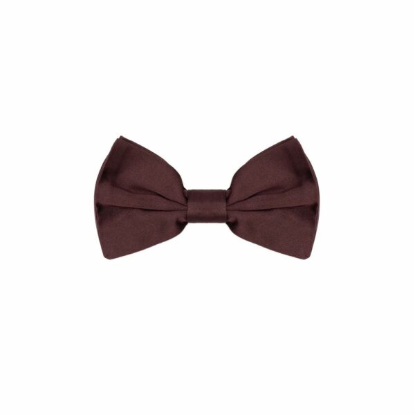 Dolce & Gabbana Red Silk Ties & Bowty