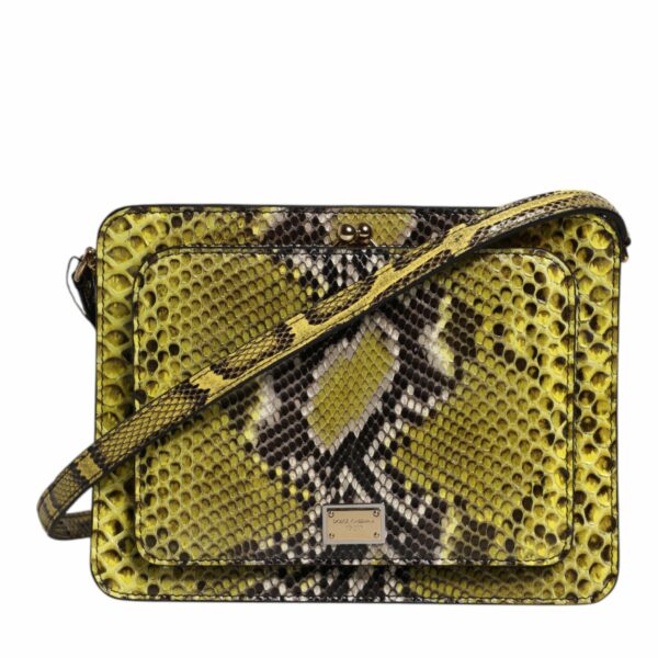 Dolce & Gabbana Green Exotic Leather DG Plaque Crossbody Clutch Bag